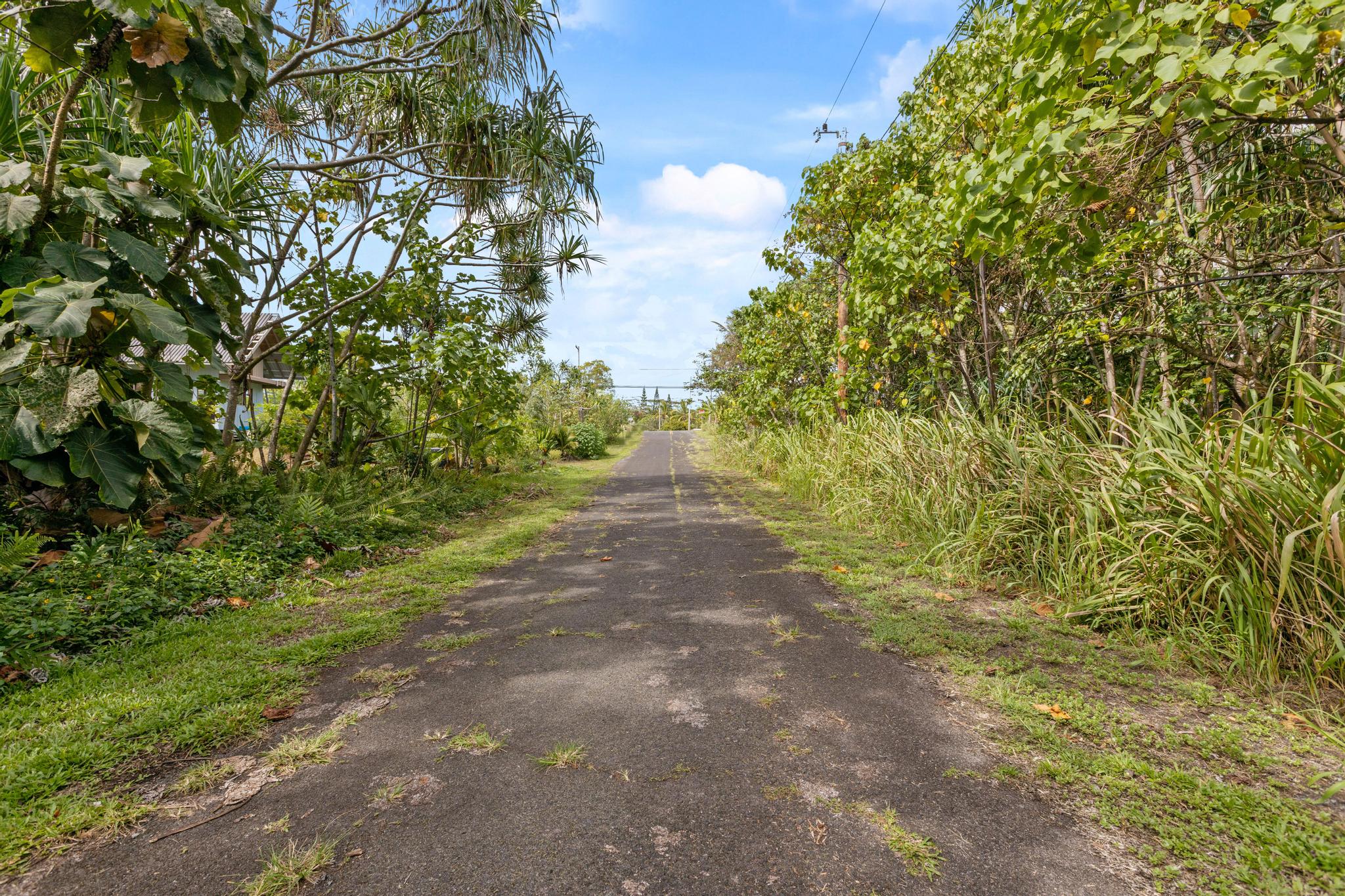 Koaekea St Property Photo 2