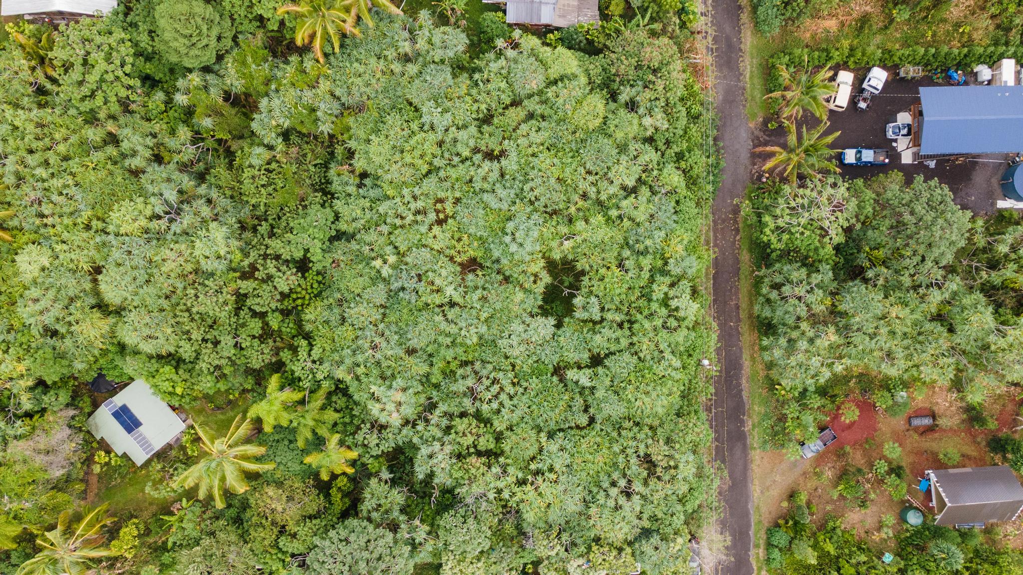 Koaekea St Property Photo 6