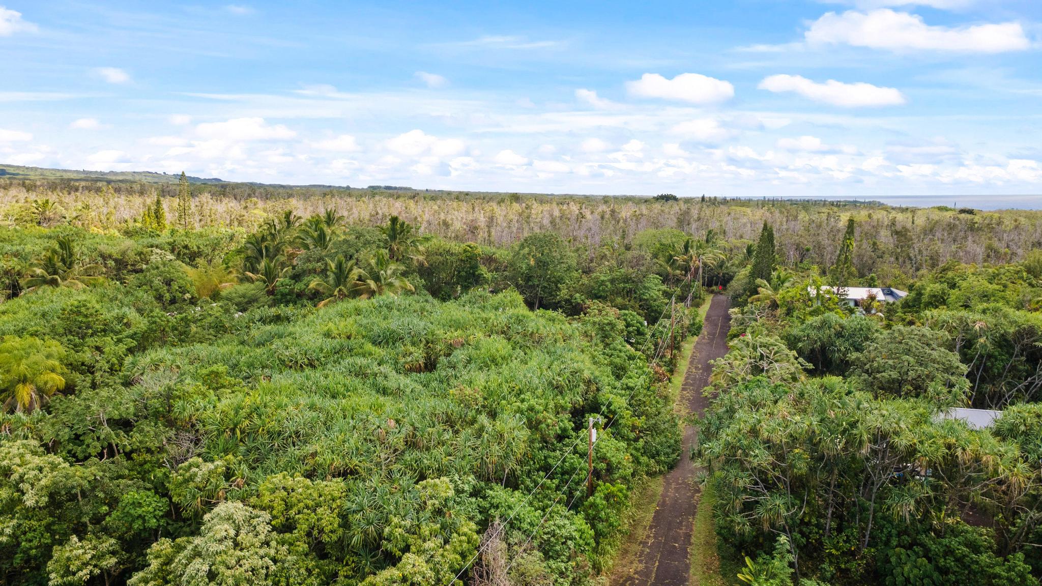 Koaekea St Property Photo 10