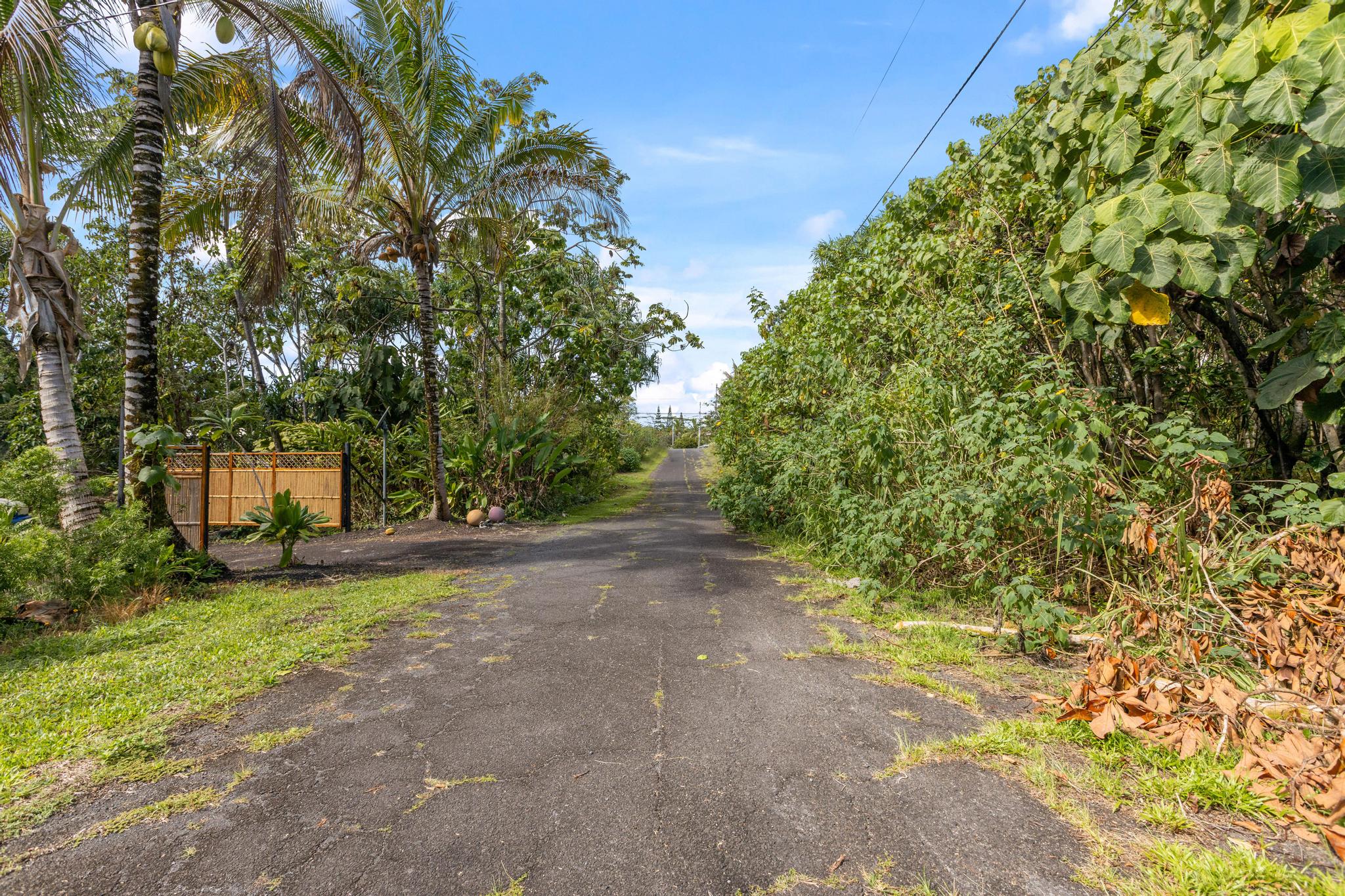 Koaekea St Property Photo 2