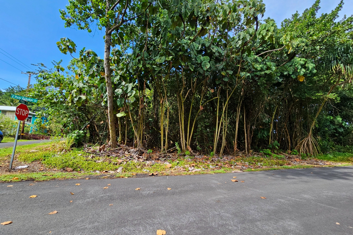Papai St Property Photo 2