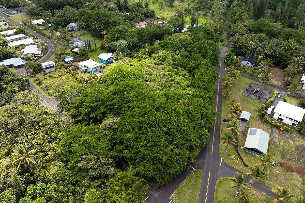 Papai St Property Photo 10
