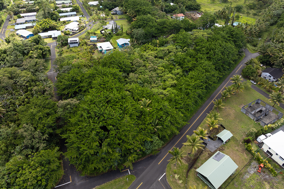 Papai St Property Photo 11