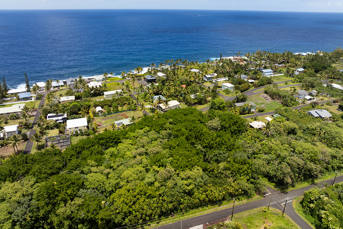 Papai St Property Photo 14
