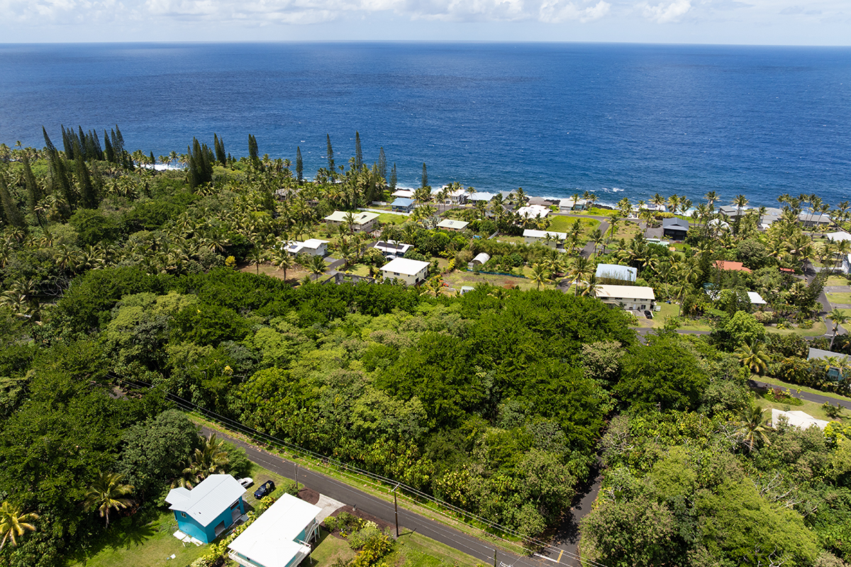 Papai St Property Photo 15