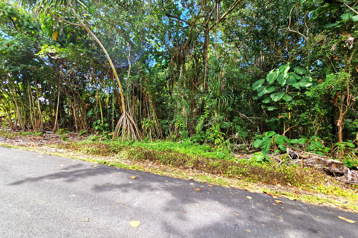 Puni Kahakai St Property Photo 2