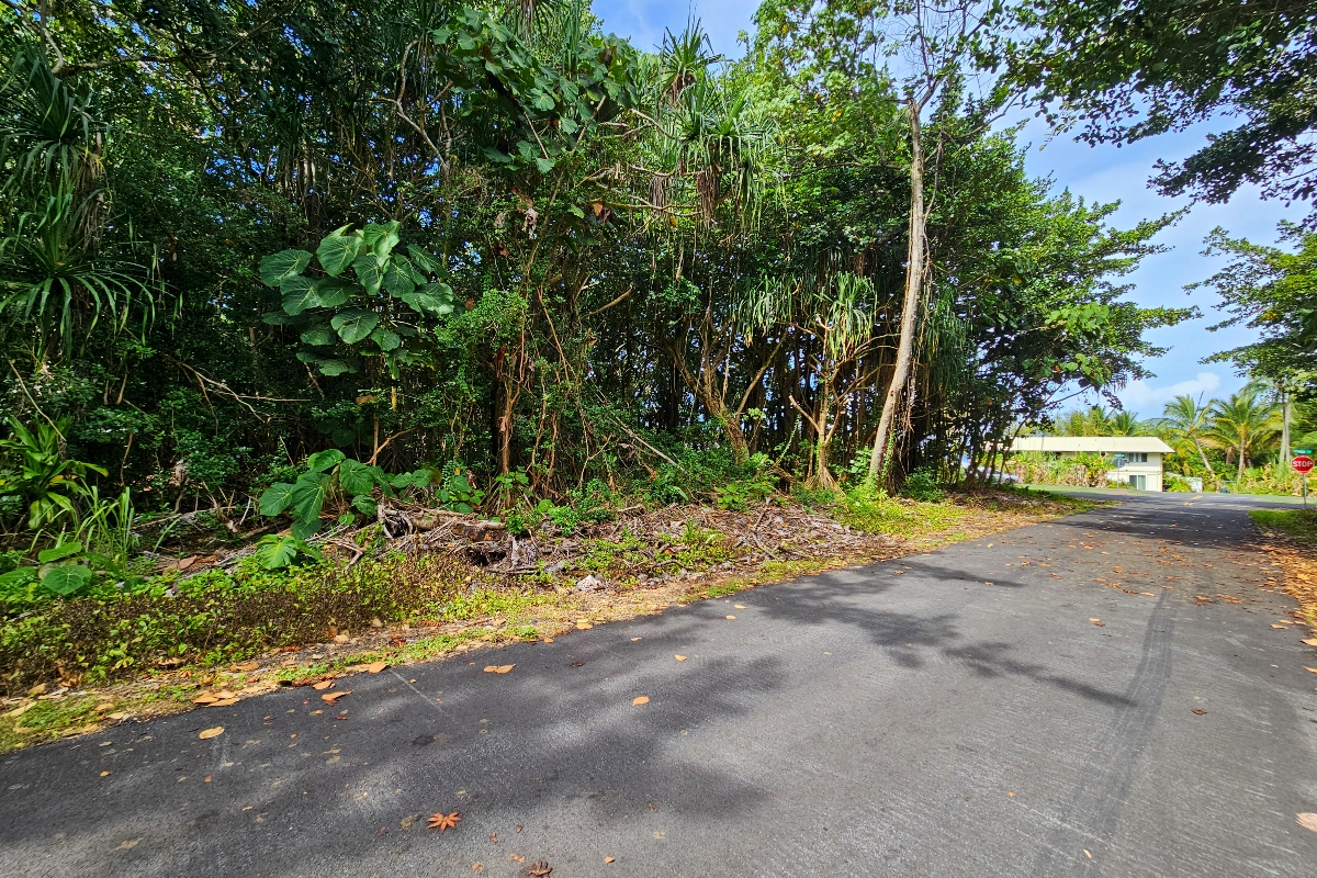 Puni Kahakai St Property Photo 3