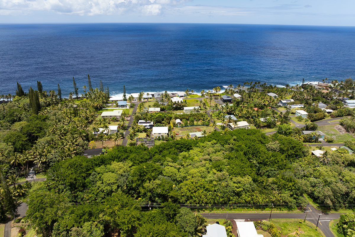 Puni Kahakai St Property Photo 9
