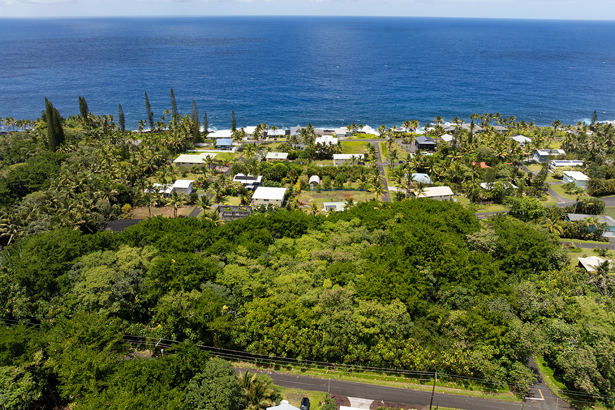 Puni Kahakai St Property Photo 14
