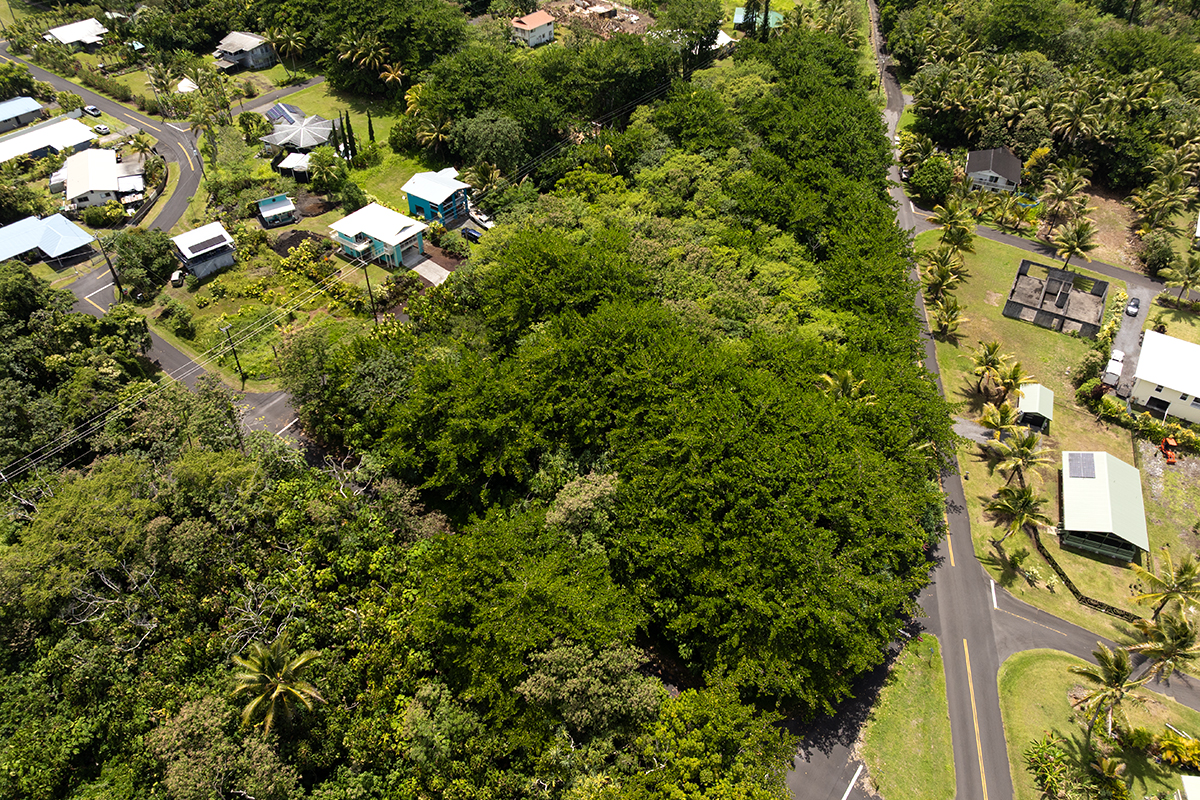 Puni Kahakai St Property Photo 15
