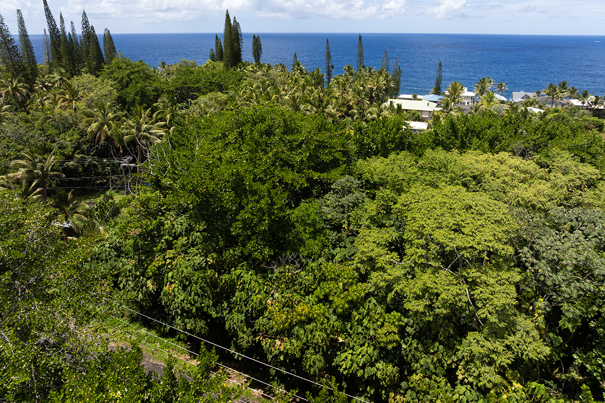 Puni Kahakai St Property Photo 16