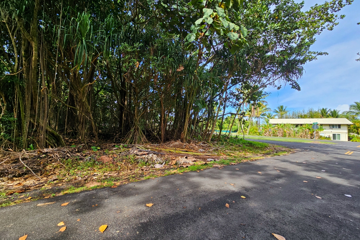 Papai St Property Photo 2