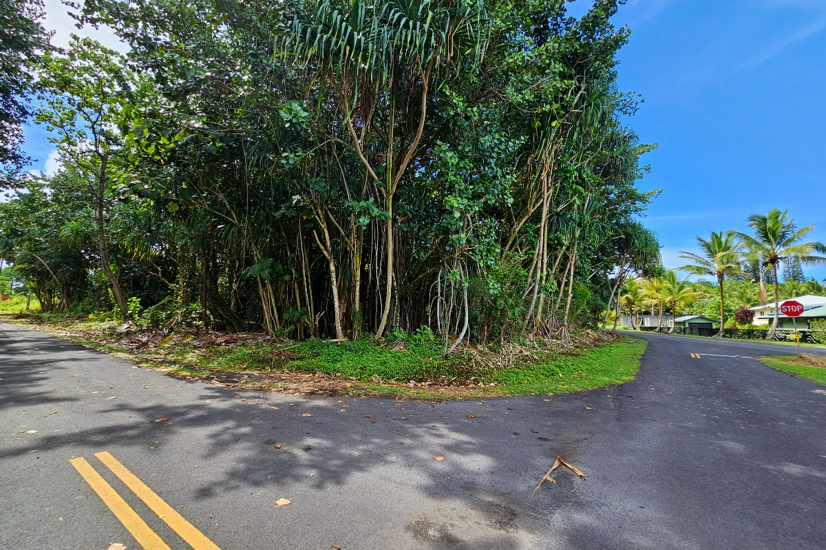 Papai St Property Photo 3