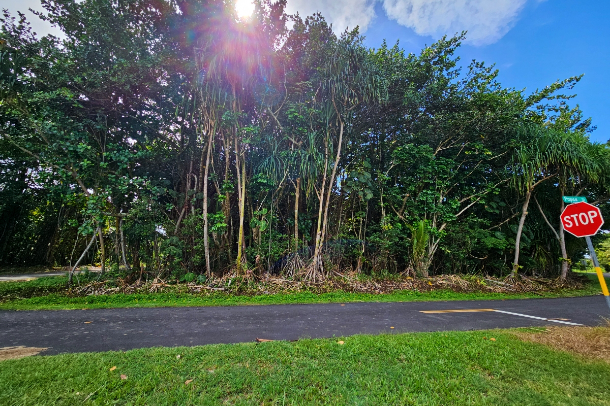 Papai St Property Photo 4