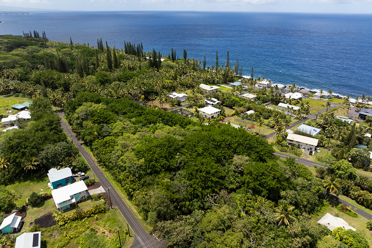 Papai St Property Photo 12