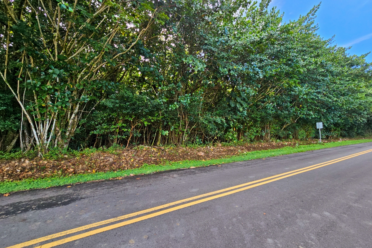 Puna Pkwy Property Photo 1