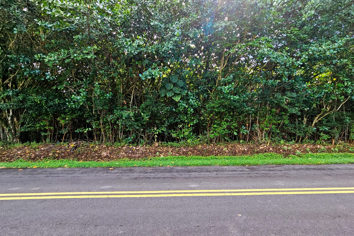 Puna Pkwy Property Photo 2