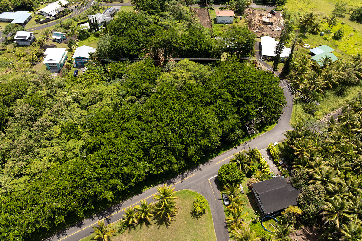 Puna Pkwy Property Photo 14