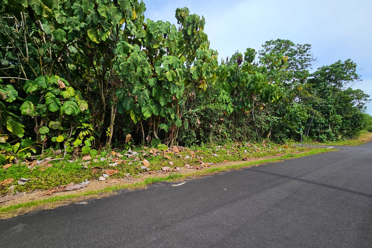 Papai St Property Photo 3