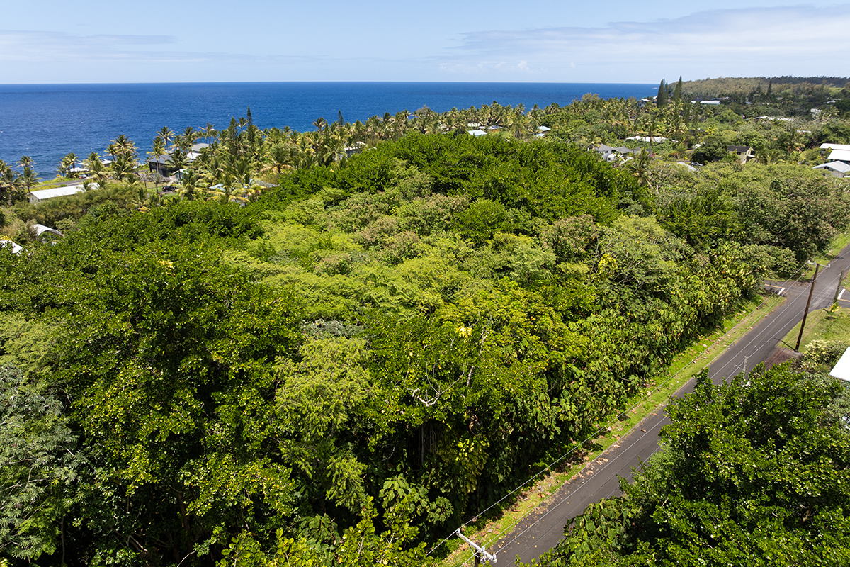 Papai St Property Photo 12