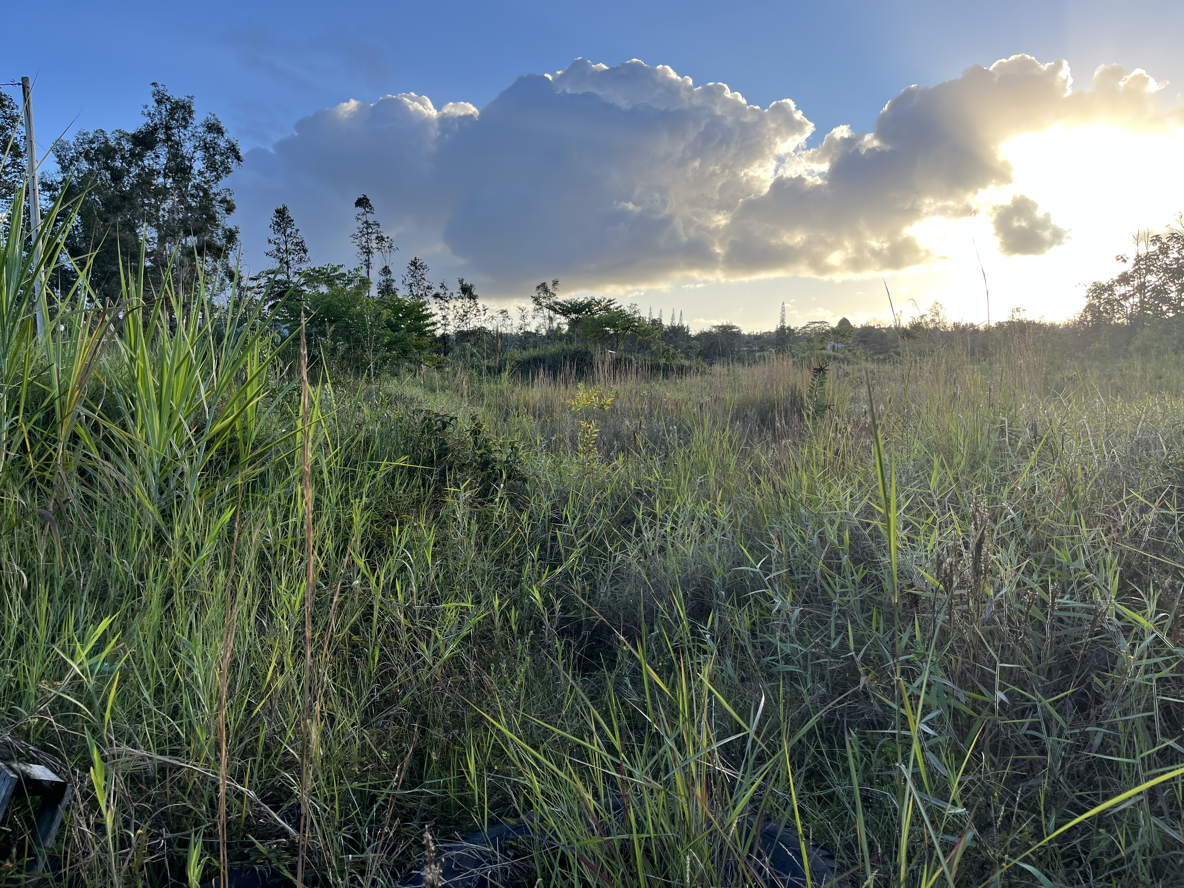 16-1272 Koloa Maoli Rd Property Photo 2