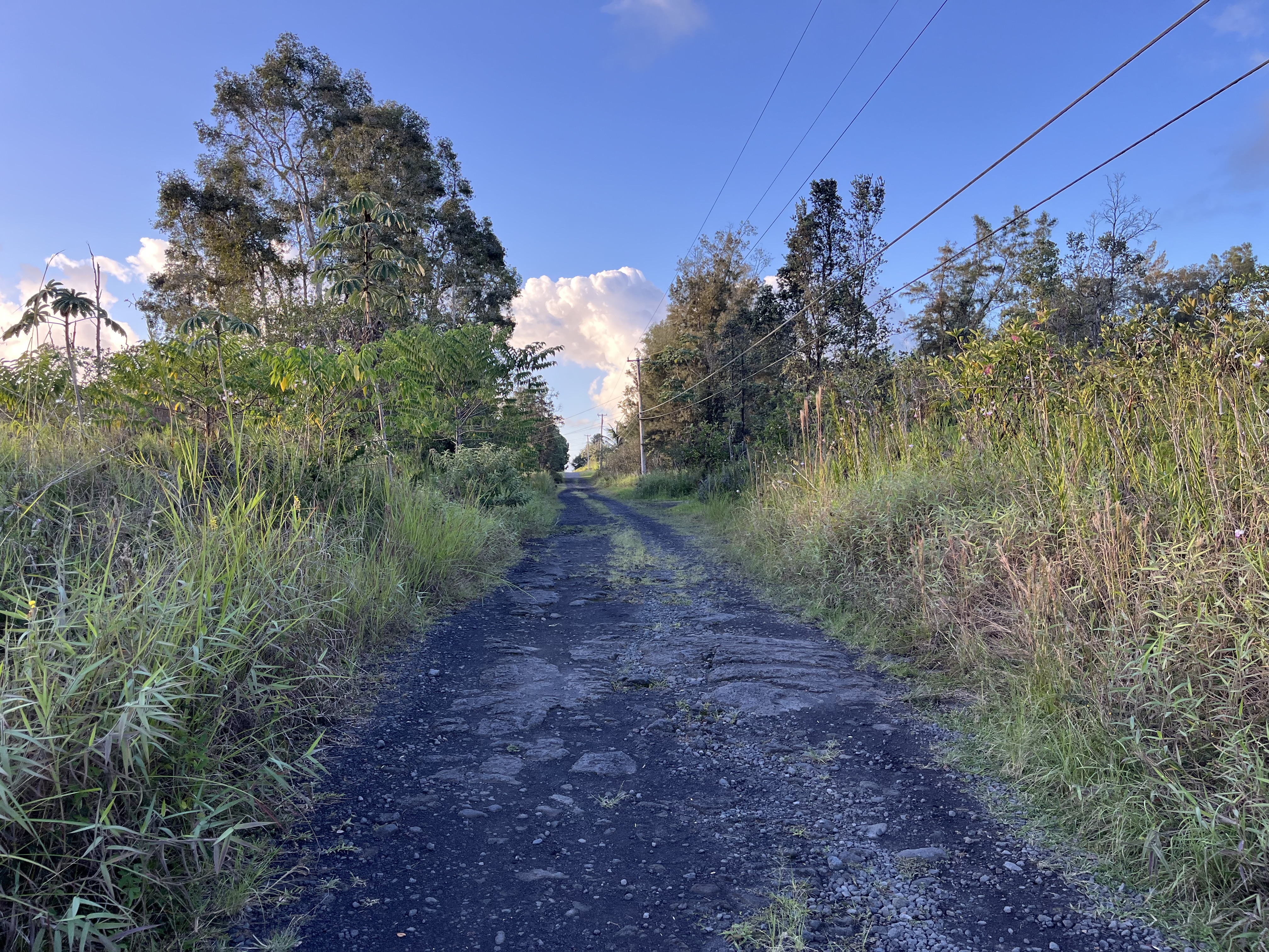 16-1272 Koloa Maoli Rd Property Photo 5