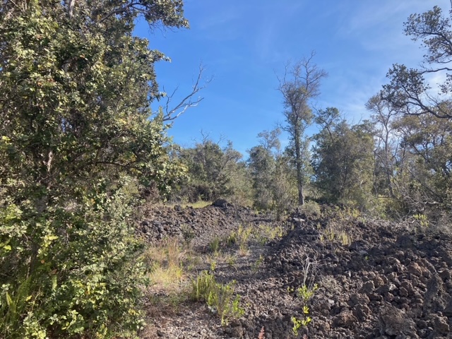 Paradise Pkwy Property Photo 1
