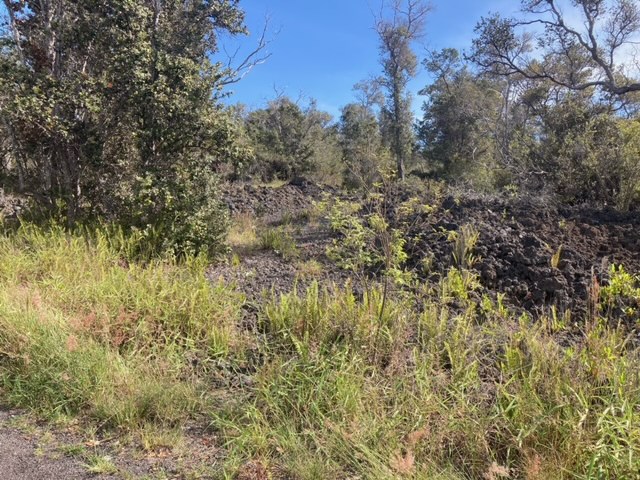 Paradise Pkwy Property Photo 3