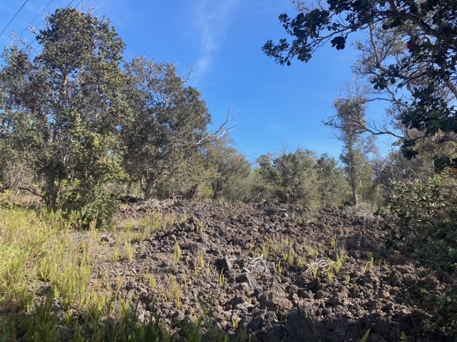 Paradise Pkwy Property Photo 4