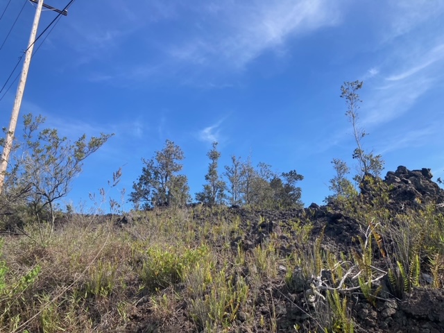 King Kamehameha Blvd Property Photo 1