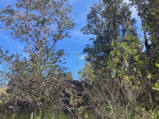 King Kamehameha Blvd Property Photo 3