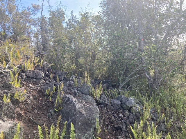 King Kamehameha Blvd Property Photo 6