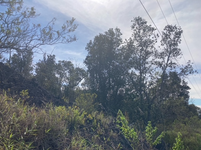King Kamehameha Blvd Property Photo 7