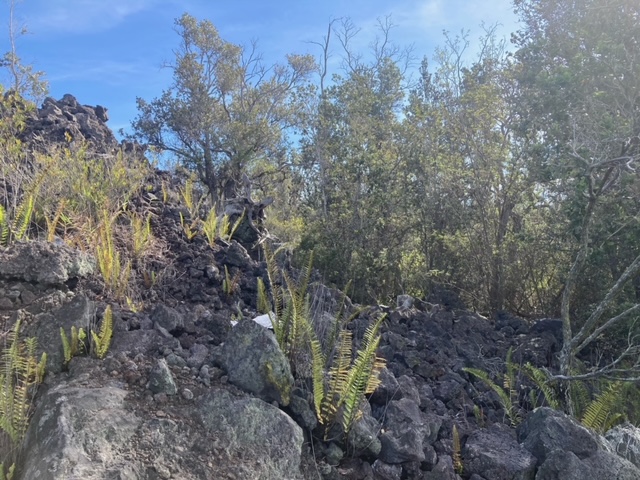 King Kamehameha Blvd Property Photo 9