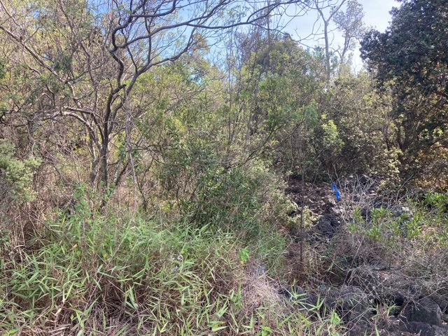 King Kamehameha Blvd Property Photo 11