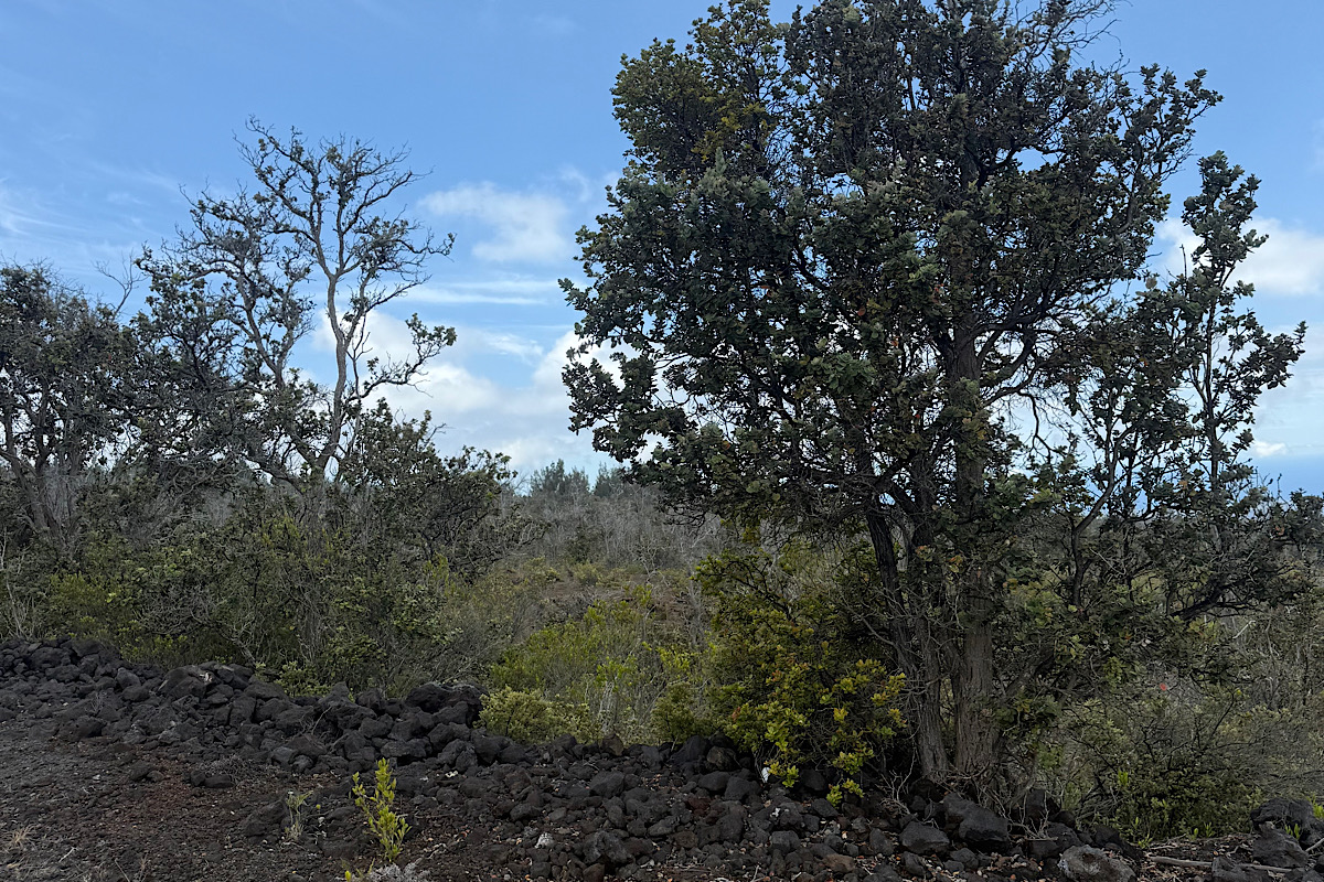 Kailua Blvd Lot 2 Property Photo 3