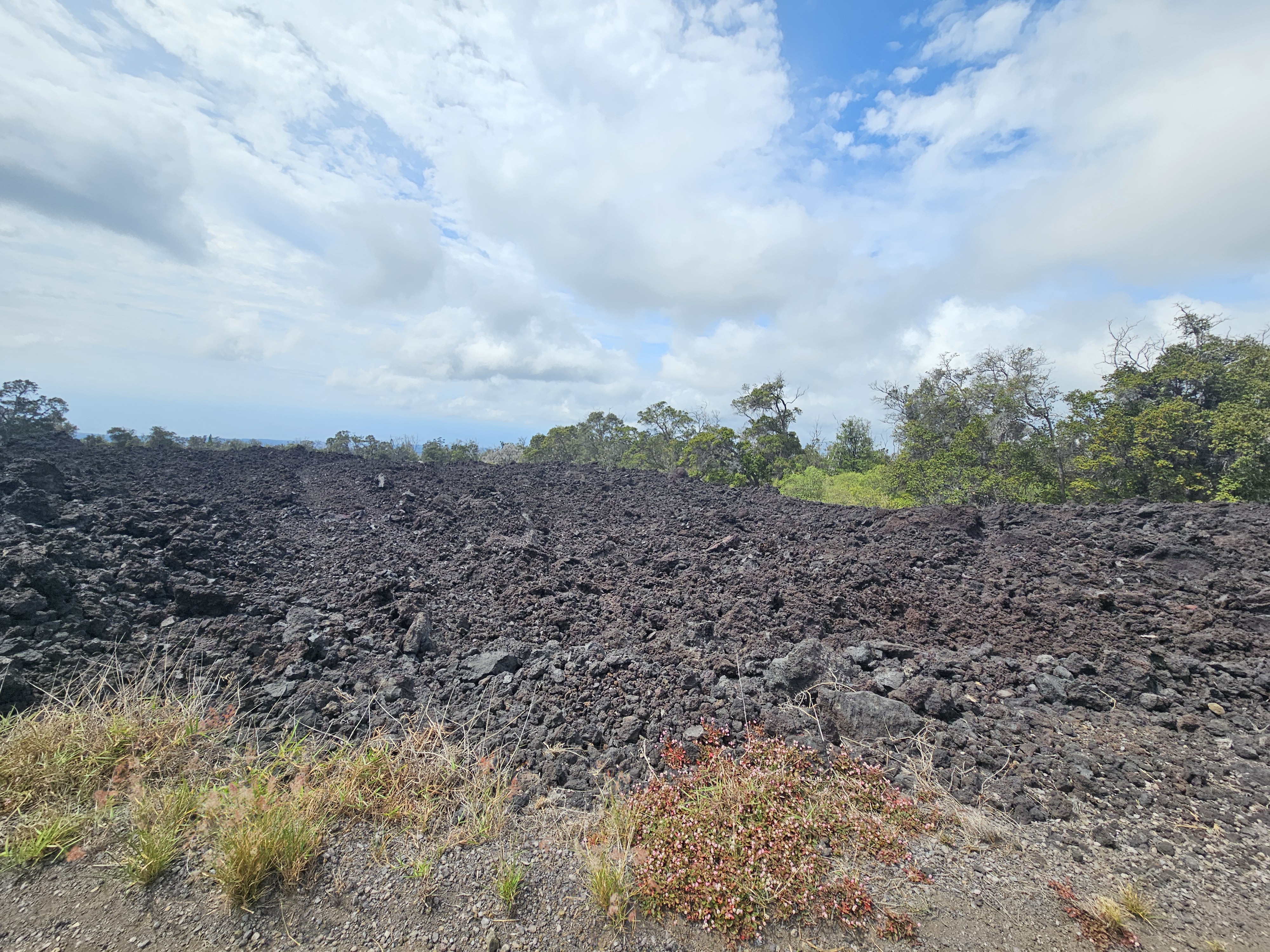 Reef Cir Makai Property Photo 1
