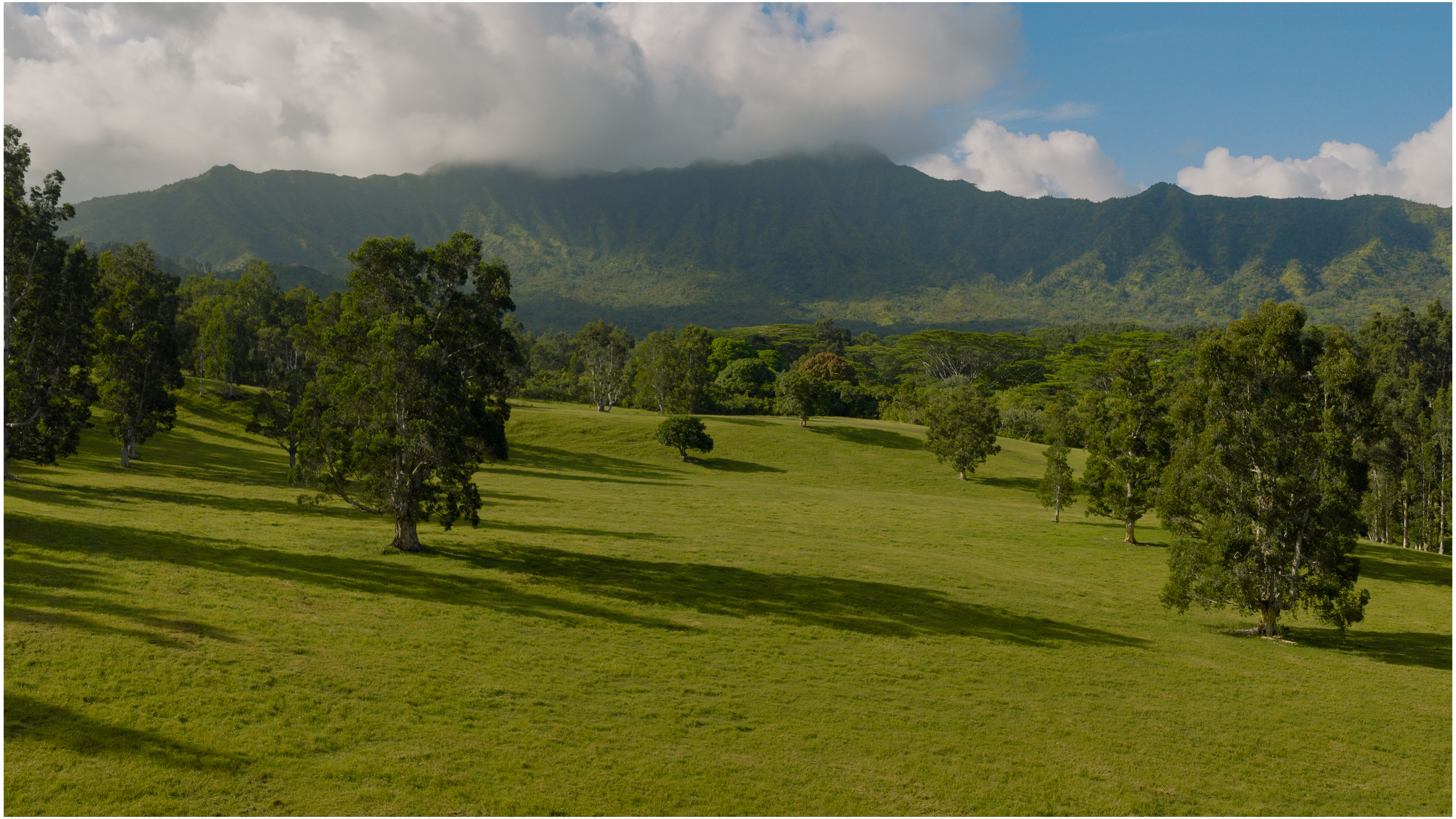 Kuhio Hwy 7 Property Photo 3
