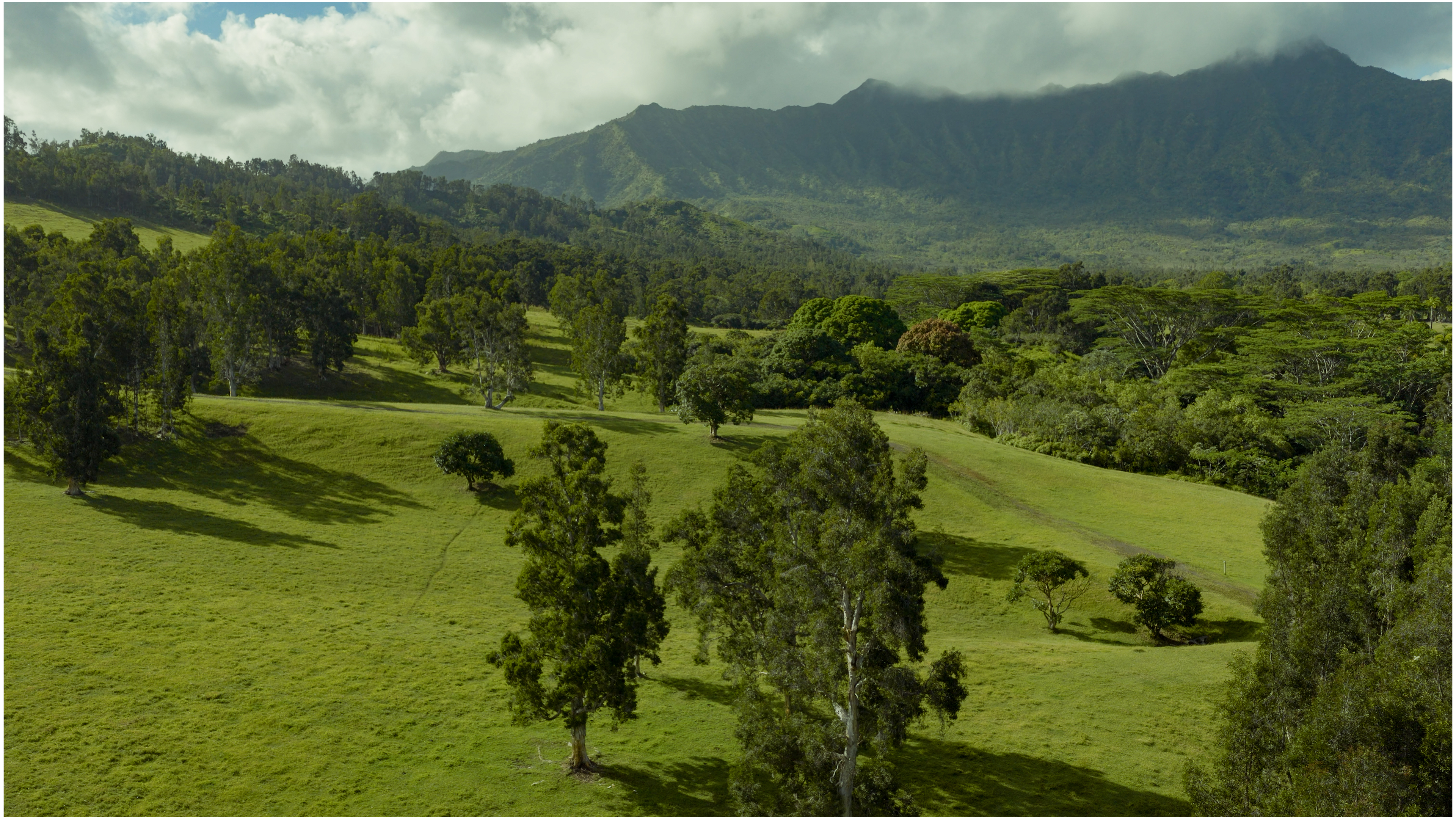 Kuhio Hwy 7 Property Photo 6