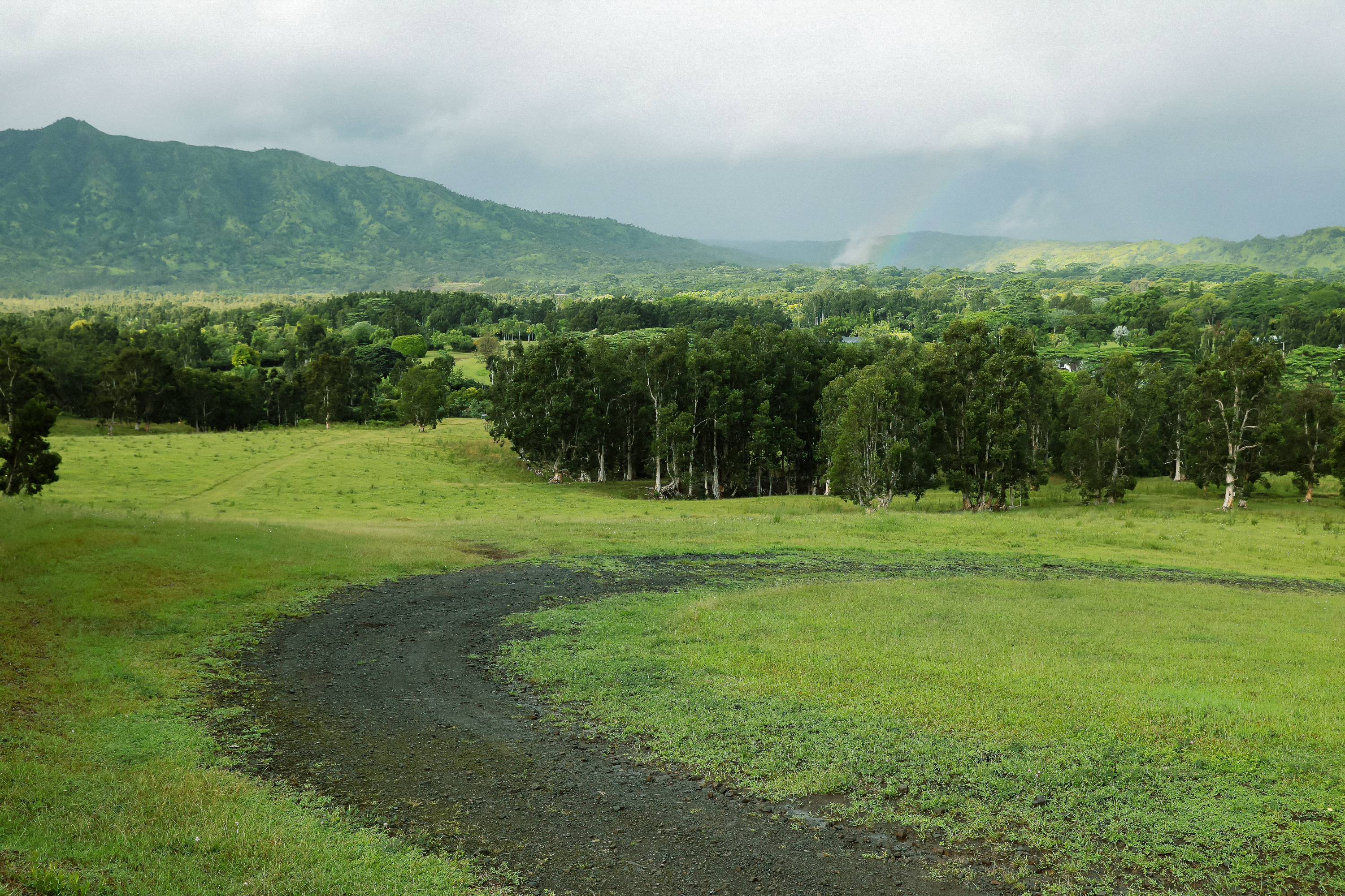 Kuhio Hwy 7 Property Photo 11