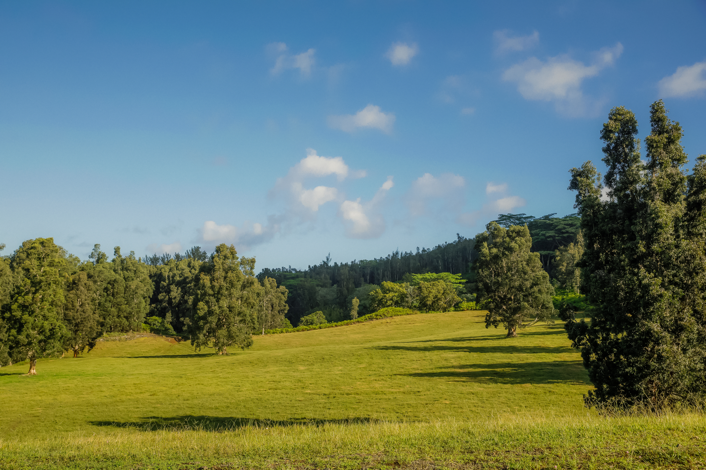 Kuhio Hwy 7 Property Photo 13
