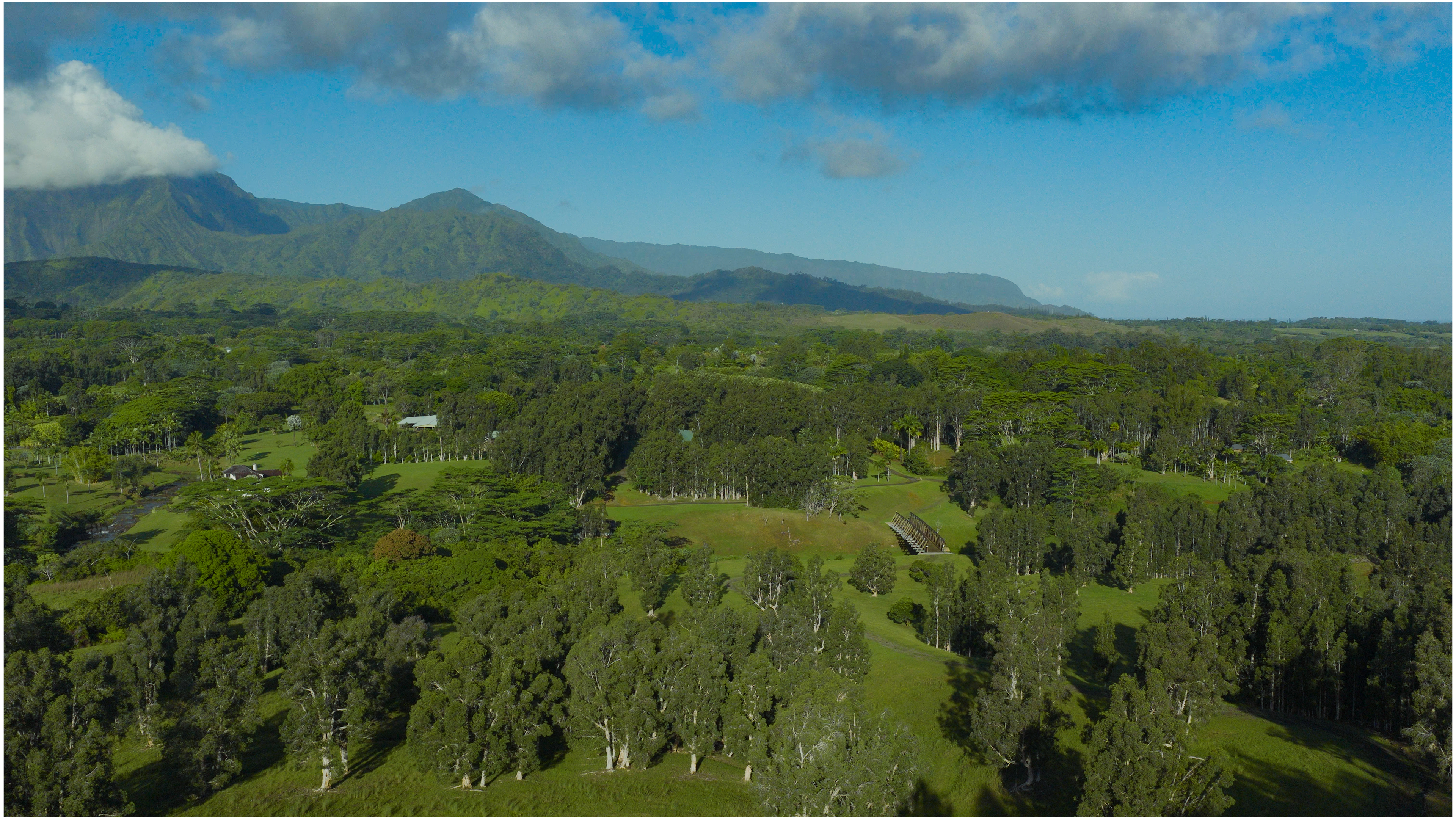 Kuhio Hwy 7 Property Photo 15