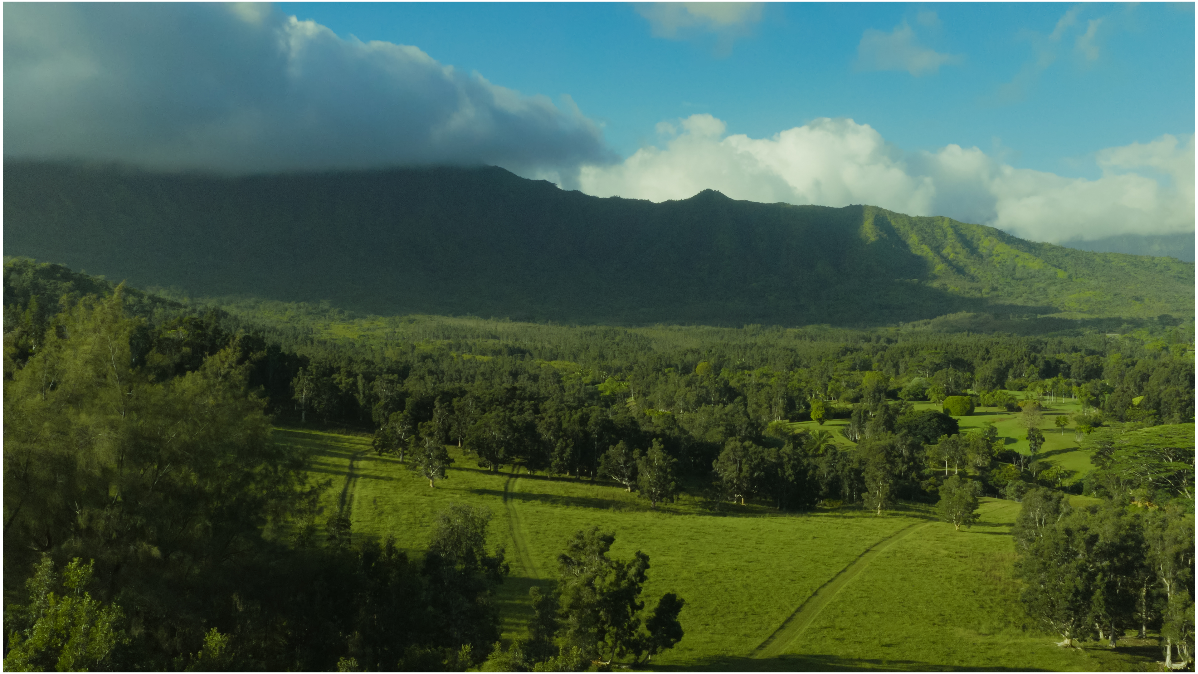 Kuhio Hwy 7 Property Photo 17