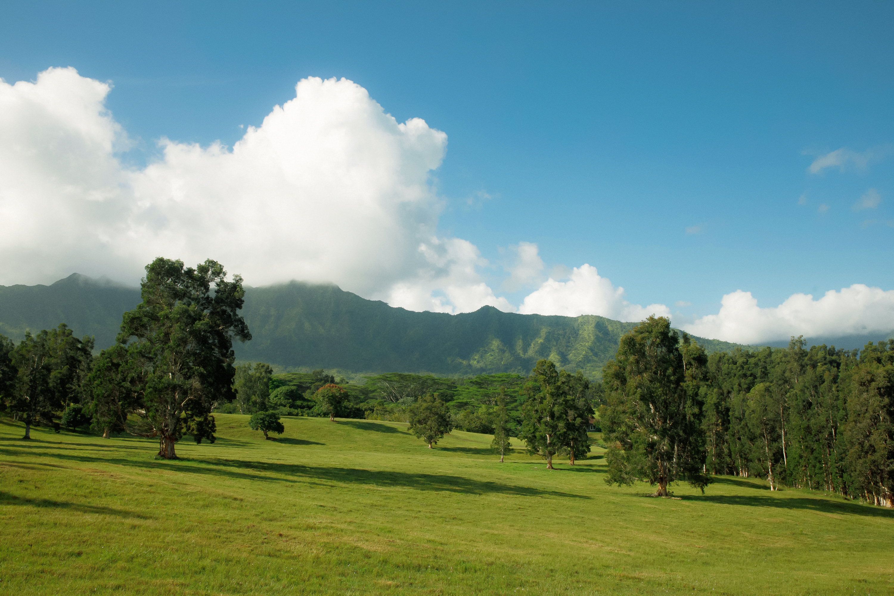 Kuhio Hwy 7 Property Photo 22