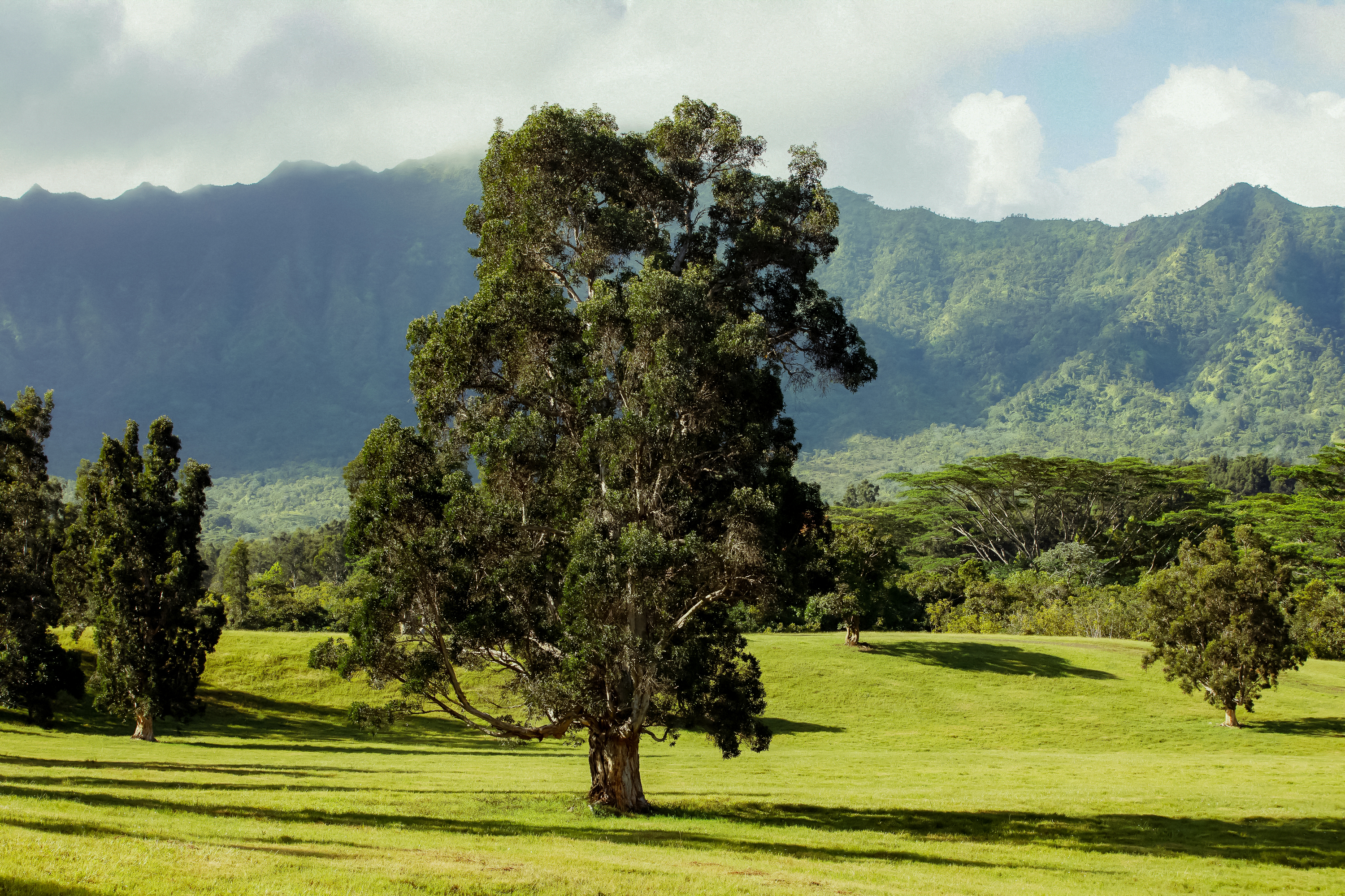 Kuhio Hwy 7 Property Photo 23