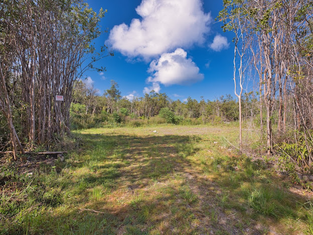 Road 2 (ao) Property Photo 4
