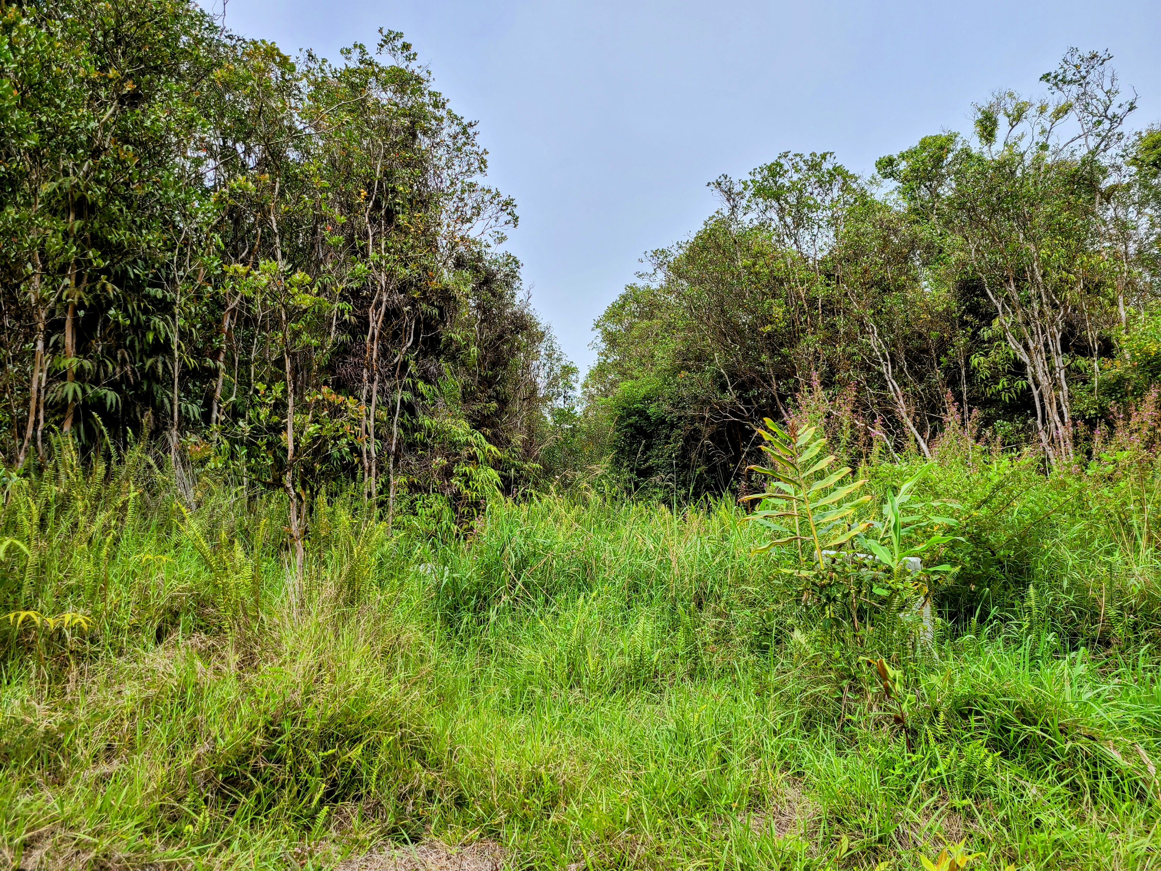 Road 7 Property Photo 2