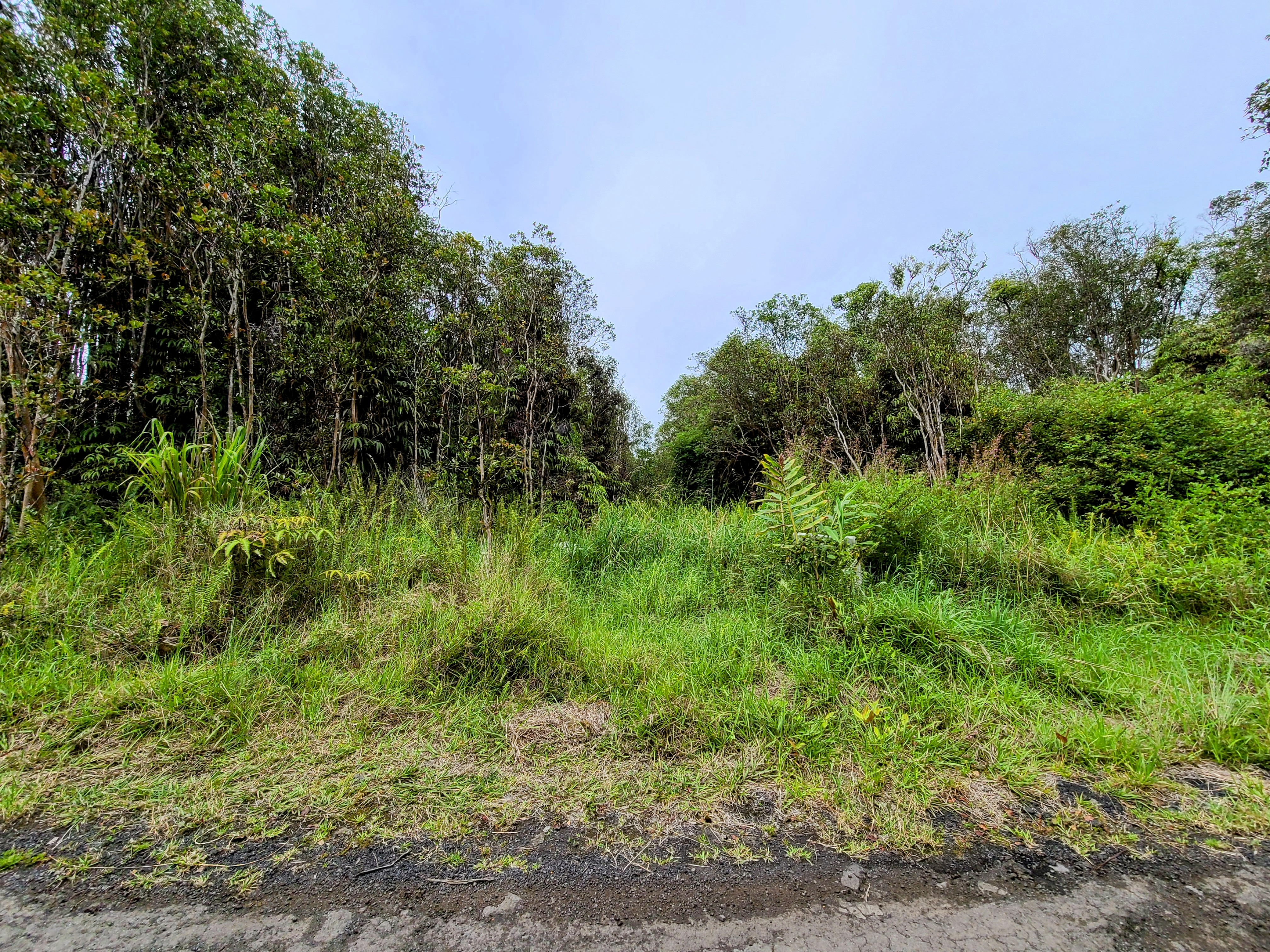 Road 7 Property Photo 3