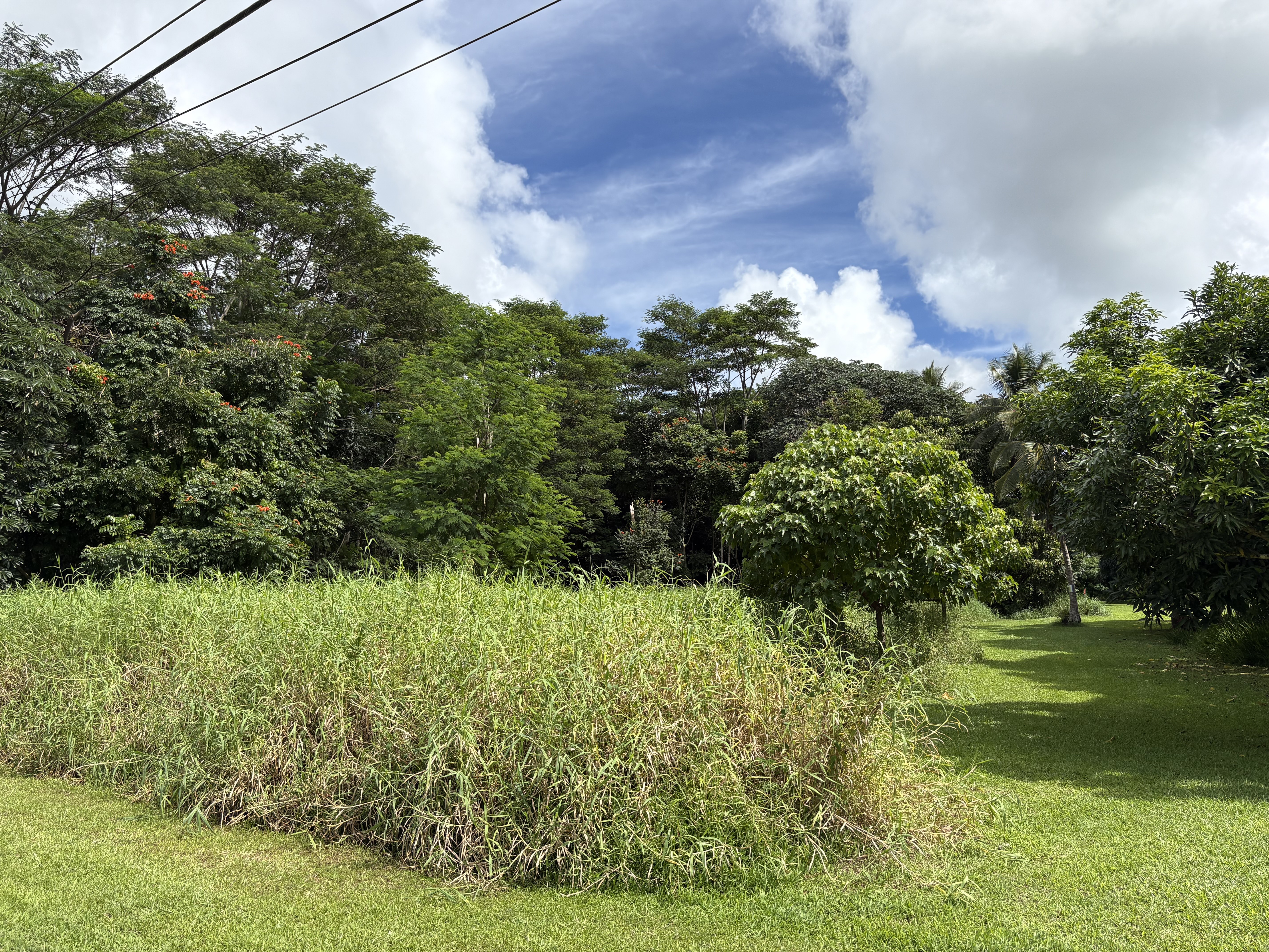 Kuawa Rd Property Photo 2