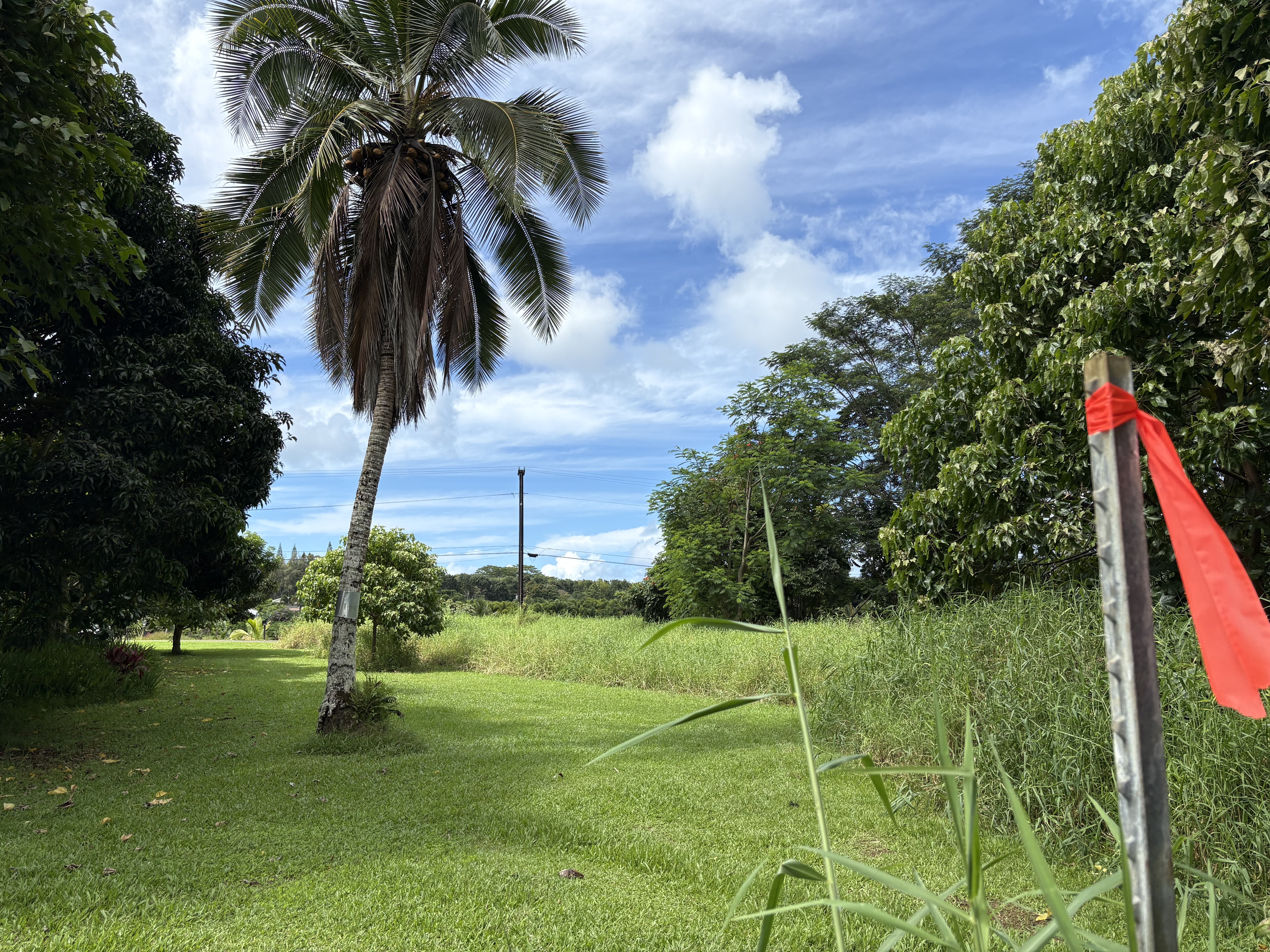 Kuawa Rd Property Photo 3